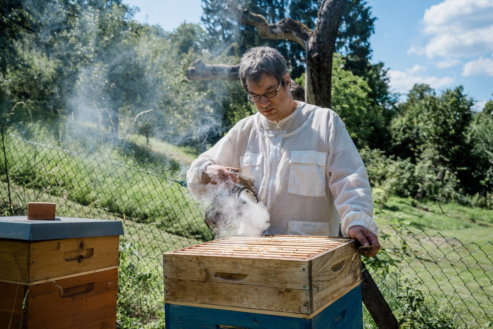 bienen-mieten für Unternehmen